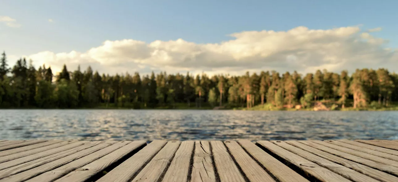 Dock, water and forest. photo