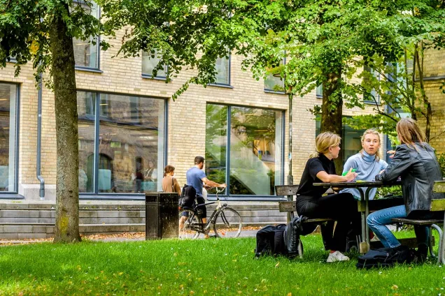 Studenter som pluggar tillsammans på Campus Paradis.foto